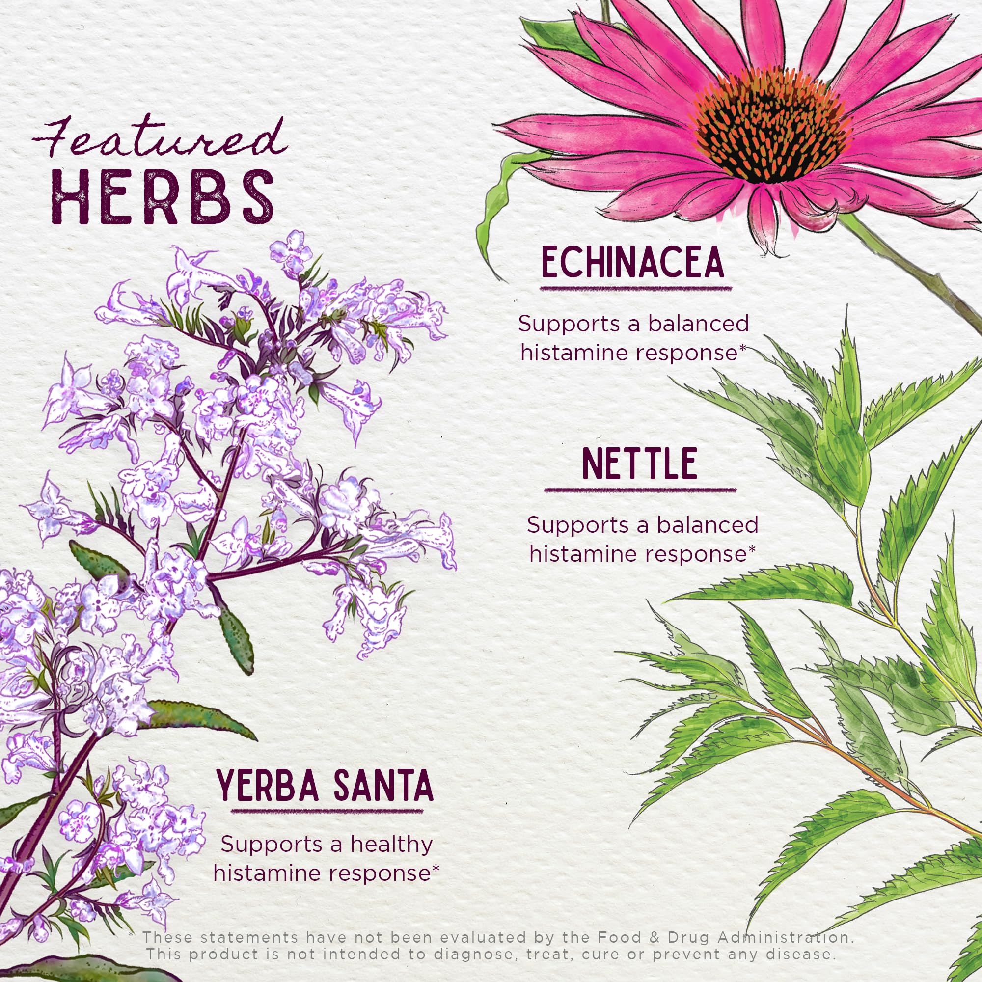 WishGarden Herbs Kick-Ass Allergy for Pregnancy - Plant-Based Herbal Allergy Supplement w/Nettle Leaf, Echinacea & Yerba Santa,