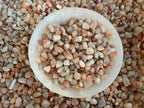 GAF TREASURES 2 oz Lot Natural Semi Tumbled Gemstone Chips, Crushed Mini Crystals, Undrilled Crystal Chips (Sunstone)