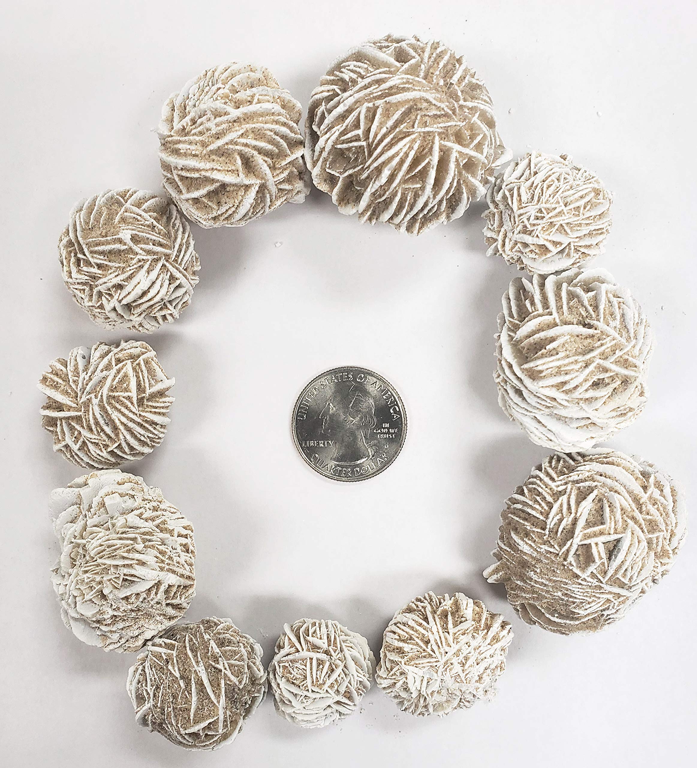MINERALUNIVERSE 1/2 LB Desert Rose Selenite Crystal Stone - Natural Crystal Healing Stones - Gypsum Love Stone Sand Rose