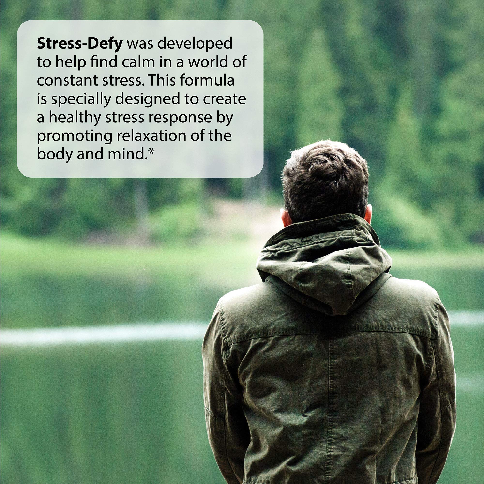 Irwin Naturals Stress-Defy 84 Softgels