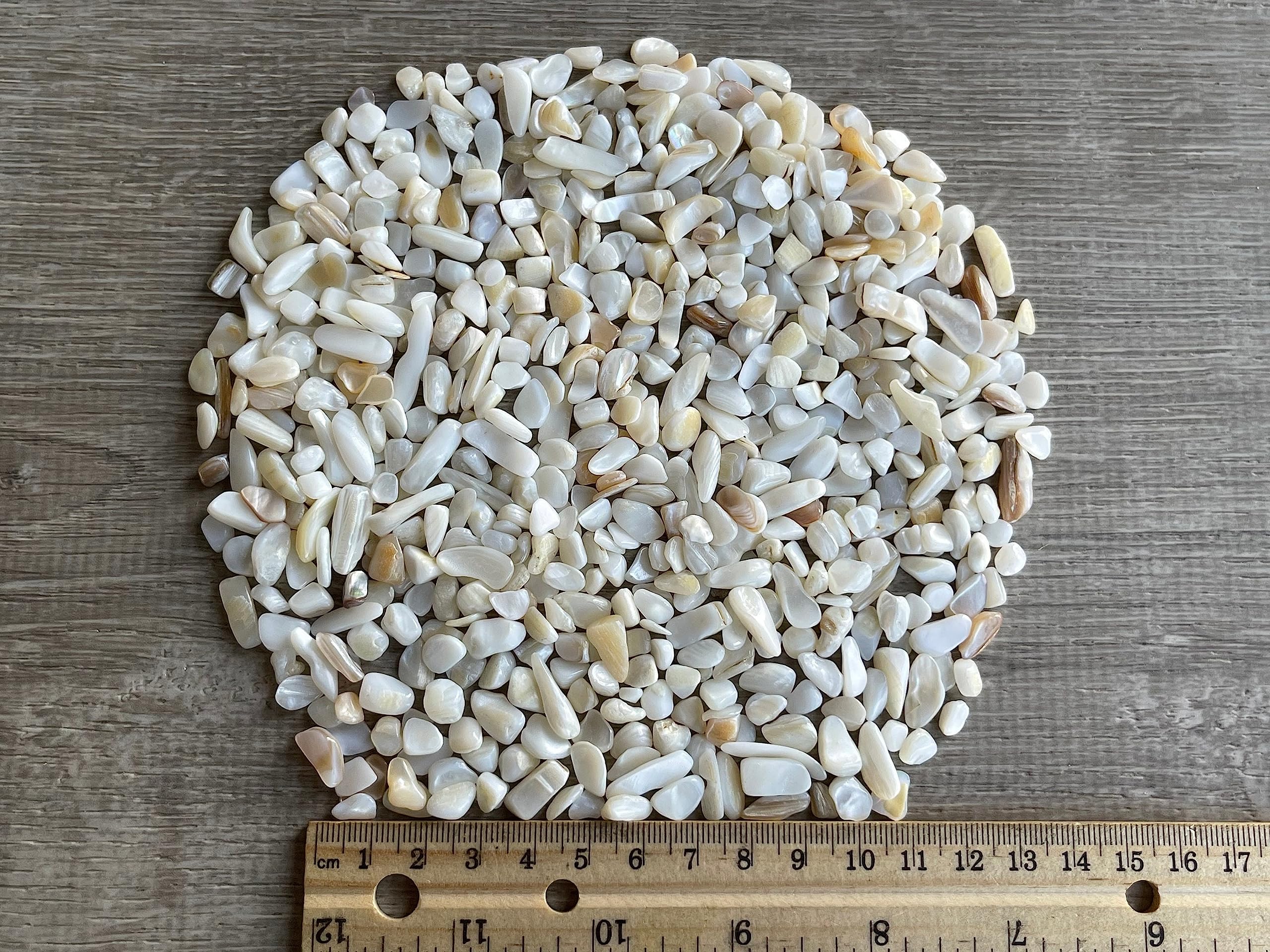 GAF TREASURES 2 oz Lot Natural Semi Tumbled Gemstone Chips, Crushed Mini Crystals, Undrilled Crystal Chips (Mother of Pearl)