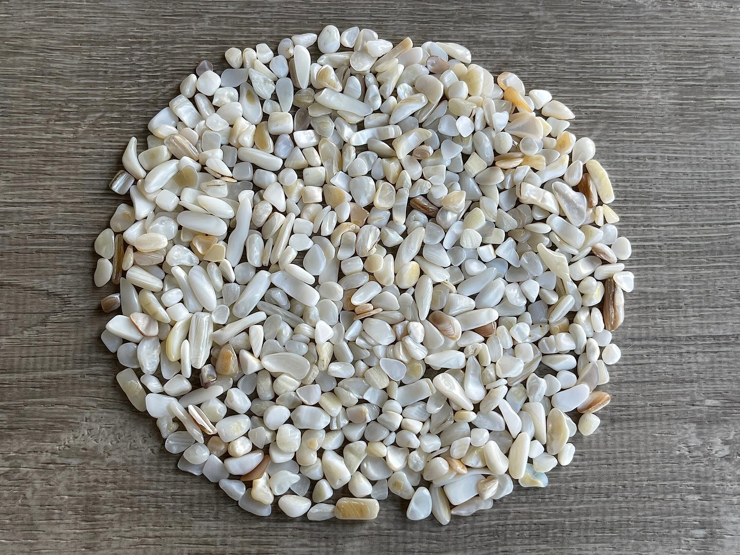 GAF TREASURES 2 oz Lot Natural Semi Tumbled Gemstone Chips, Crushed Mini Crystals, Undrilled Crystal Chips (Mother of Pearl)