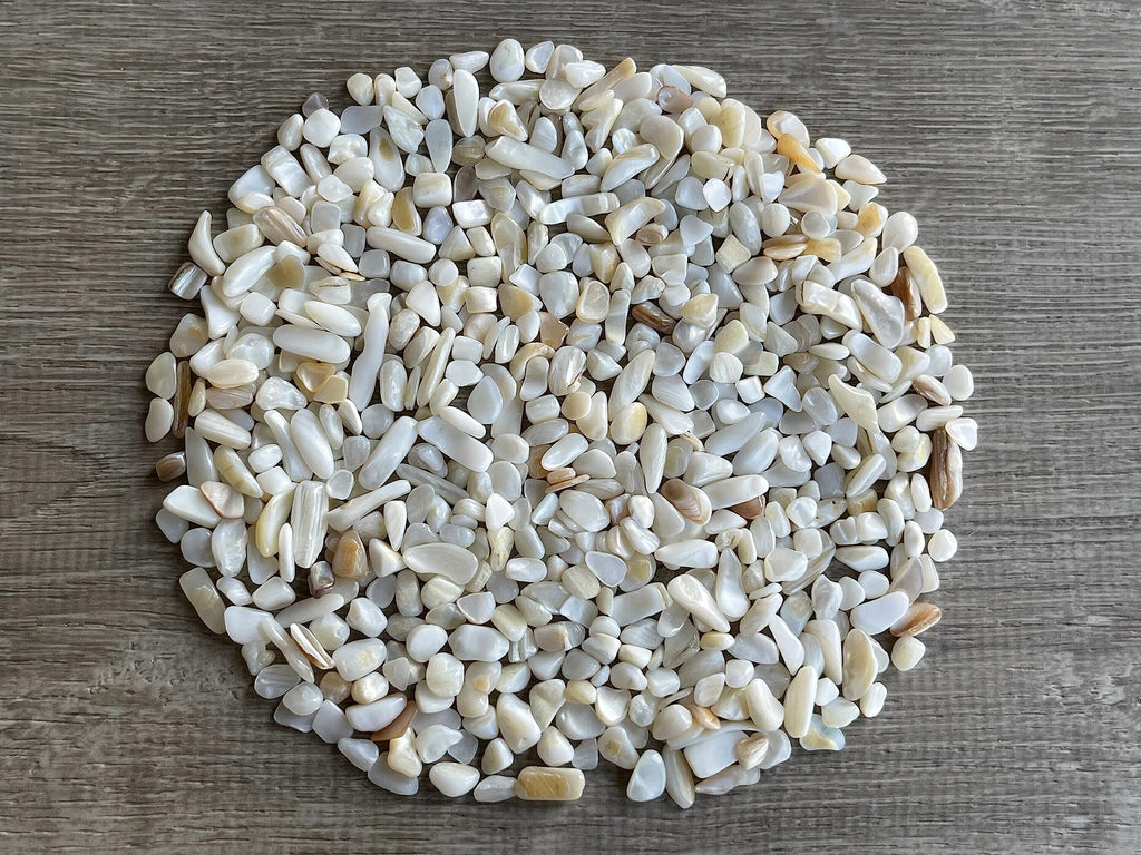 GAF TREASURES 2 oz Lot Natural Semi Tumbled Gemstone Chips, Crushed Mini Crystals, Undrilled Crystal Chips (Mother of Pearl)