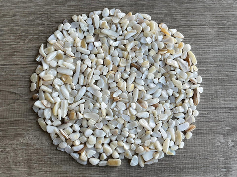 GAF TREASURES 2 oz Lot Natural Semi Tumbled Gemstone Chips, Crushed Mini Crystals, Undrilled Crystal Chips (Mother of Pearl)