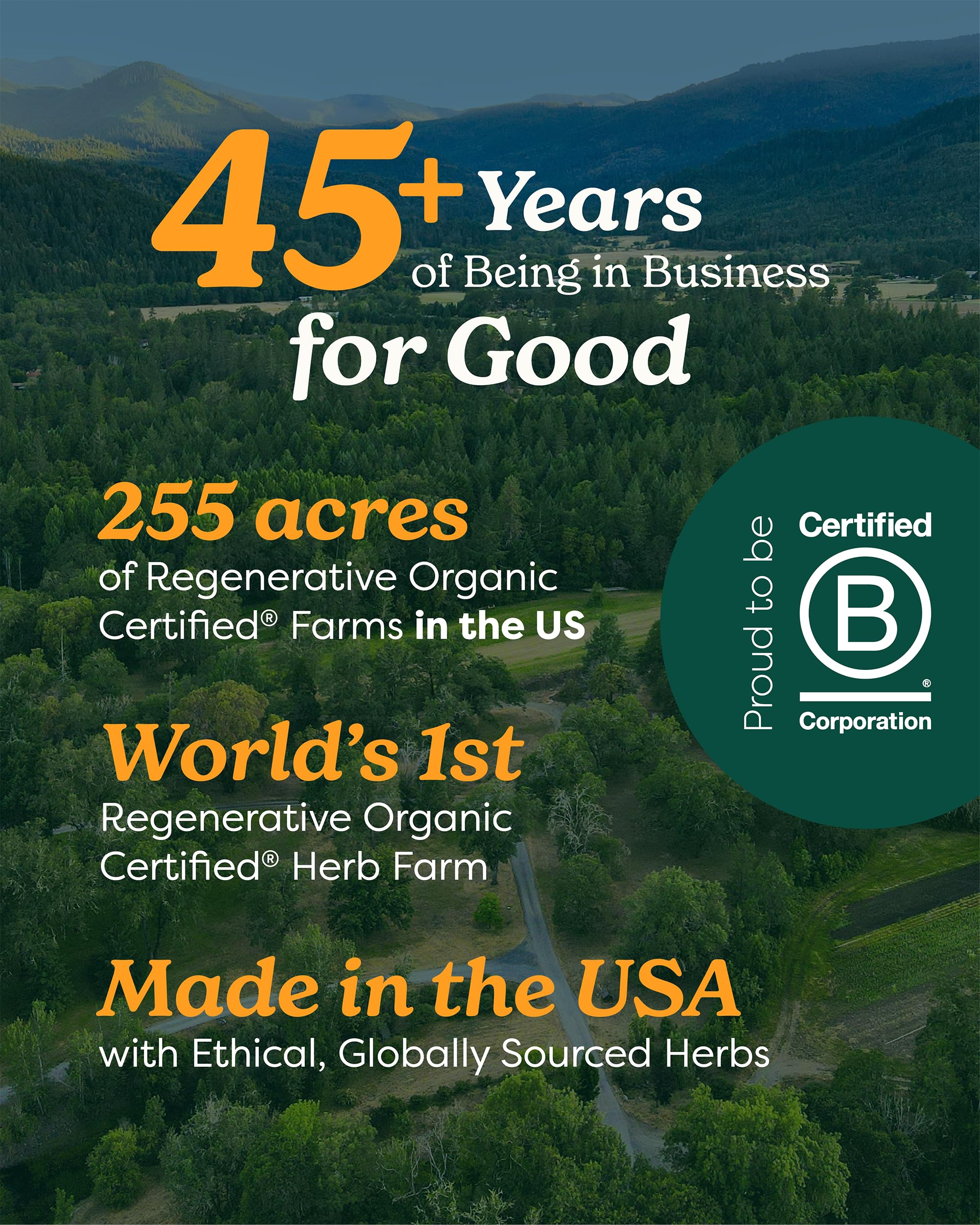 Herb Pharm Certified Organic Arnica Oil - 4 Ounce