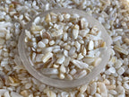 GAF TREASURES 2 oz Lot Natural Semi Tumbled Gemstone Chips, Crushed Mini Crystals, Undrilled Crystal Chips (Mother of Pearl)