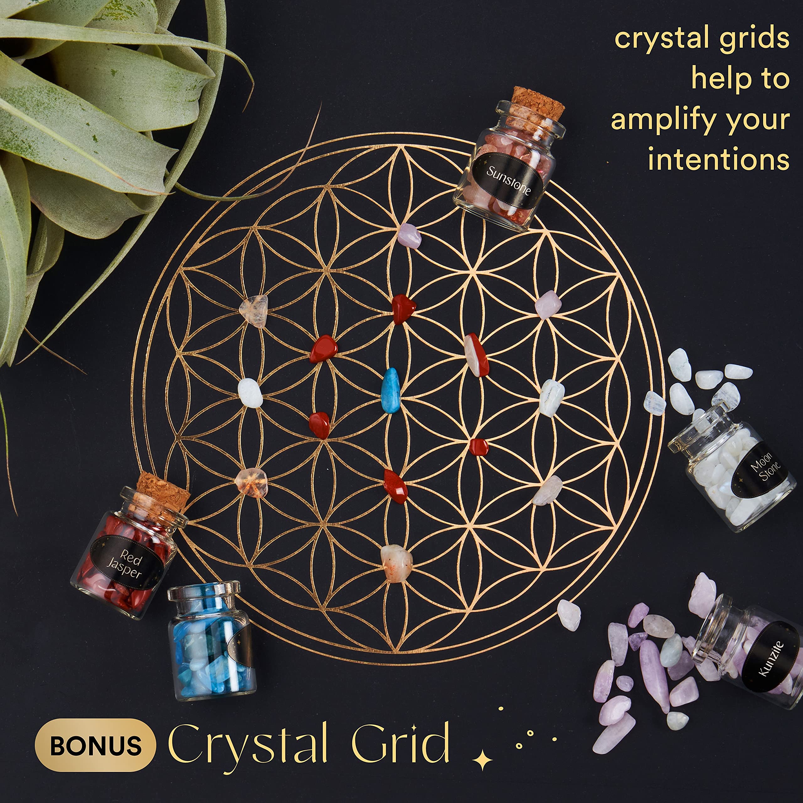 Set of 50 Crystals and Stones | Healing Crystals in Spell Jars with Cork | Witchcraft Supplies | Real Crystal Kit with Crystal G