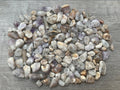 GAF TREASURES 2 oz Lot Natural Semi Tumbled Gemstone Chips, Crushed Mini Crystals, Undrilled Crystal Chips (Spirit Quartz)