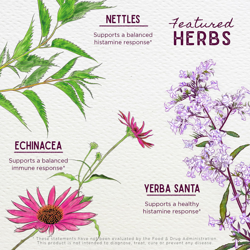 WishGarden Herbs Kick-It Allergy for Kids - Plant-Based Non-Drowsy Herbal Allergy Supplement with Nettle Leaf, Echinacea & Yerba