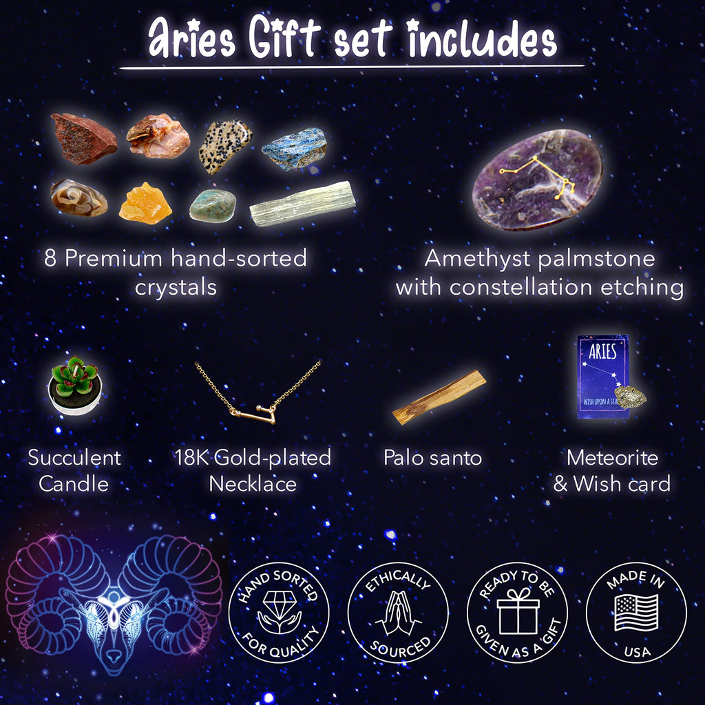 DANCING BEAR Aries Zodiac Healing Crystals Gift Set, (14 Pc): 9 Stones, 18K Gold-Plated Constellation Necklace, Meteorite, Succu