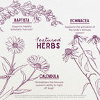 WishGarden Herbs Ear Be Well Treatment Kit - Soothing Ear Oil Drops with Mullein & Garlic + Herbal Tincture Supports Rapid Immun