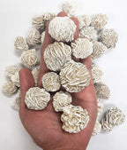 MINERALUNIVERSE 1/2 LB Desert Rose Selenite Crystal Stone - Natural Crystal Healing Stones - Gypsum Love Stone Sand Rose