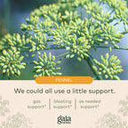 Gaia Herbs Gas & Bloating - Provides Relief from Occasional Gas and Bloating - with Activated Charcoal, Fennel, Chamomile, Cumin