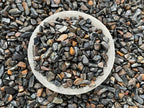 GAF TREASURES 2 oz Lot Natural Blue Tiger Eye Semi Tumbled Gemstone Chips, Crushed Mini Crystals, Undrilled Crystal Chips (Blue