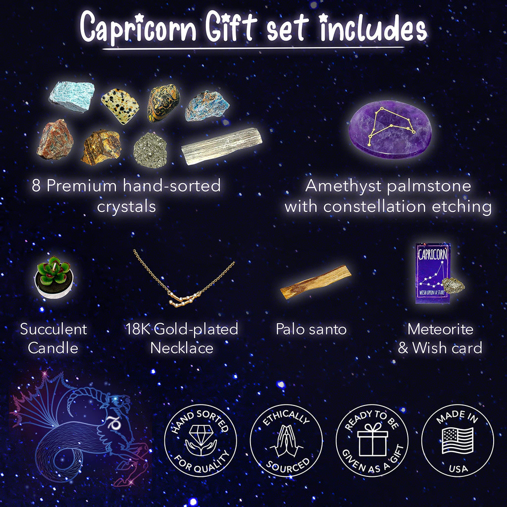 DANCING BEAR Capricorn Zodiac Healing Crystals Gift Set (14 Pc): 9 Stones, 18K Gold-plated Constellation Necklace, Meteorite, Su