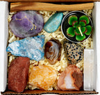 DANCING BEAR Aries Zodiac Healing Crystals Gift Set, (14 Pc): 9 Stones, 18K Gold-Plated Constellation Necklace, Meteorite, Succu