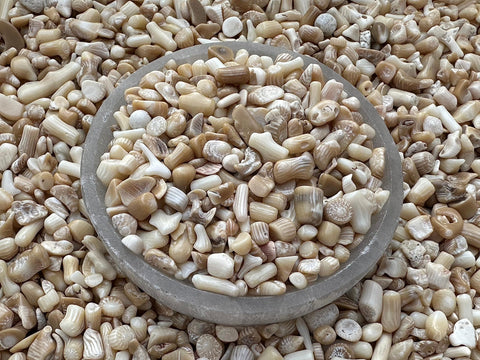 GAF TREASURES 2 oz Lot Natural Semi Tumbled Gemstone Chips, Crushed Mini Crystals, Undrilled Crystal Chips (White Bamboo Coral)