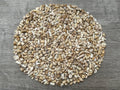GAF TREASURES 2 oz Lot Natural Semi Tumbled Gemstone Chips, Crushed Mini Crystals, Undrilled Crystal Chips (White Bamboo Coral)
