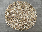 GAF TREASURES 2 oz Lot Natural Semi Tumbled Gemstone Chips, Crushed Mini Crystals, Undrilled Crystal Chips (White Bamboo Coral)