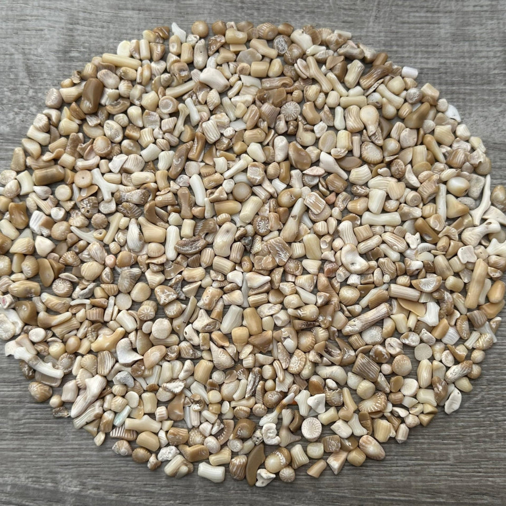 GAF TREASURES 2 oz Lot Natural Semi Tumbled Gemstone Chips, Crushed Mini Crystals, Undrilled Crystal Chips (White Bamboo Coral)