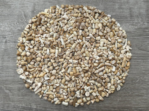 GAF TREASURES 2 oz Lot Natural Semi Tumbled Gemstone Chips, Crushed Mini Crystals, Undrilled Crystal Chips (White Bamboo Coral)