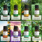 Pursonic Essential Oils Set - 8 Aromatherapy Oils Blends Gift Set - 10ml Pure Essential Oils for Diffusers, Home, Massage & Bath
