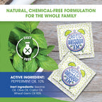 LA Fresh DEET Free Mosquito Repellent Wipes - Long Lasting Bug Repellent Wipes, Travel Insect Repellant - Pack of 50 Natural Ins