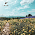 Sz Essentials - Helichrysum 100% Pure, Essential Natural Oil - Extracted from Helichrysum Italicum Immortelle - Pleasant & Sweet