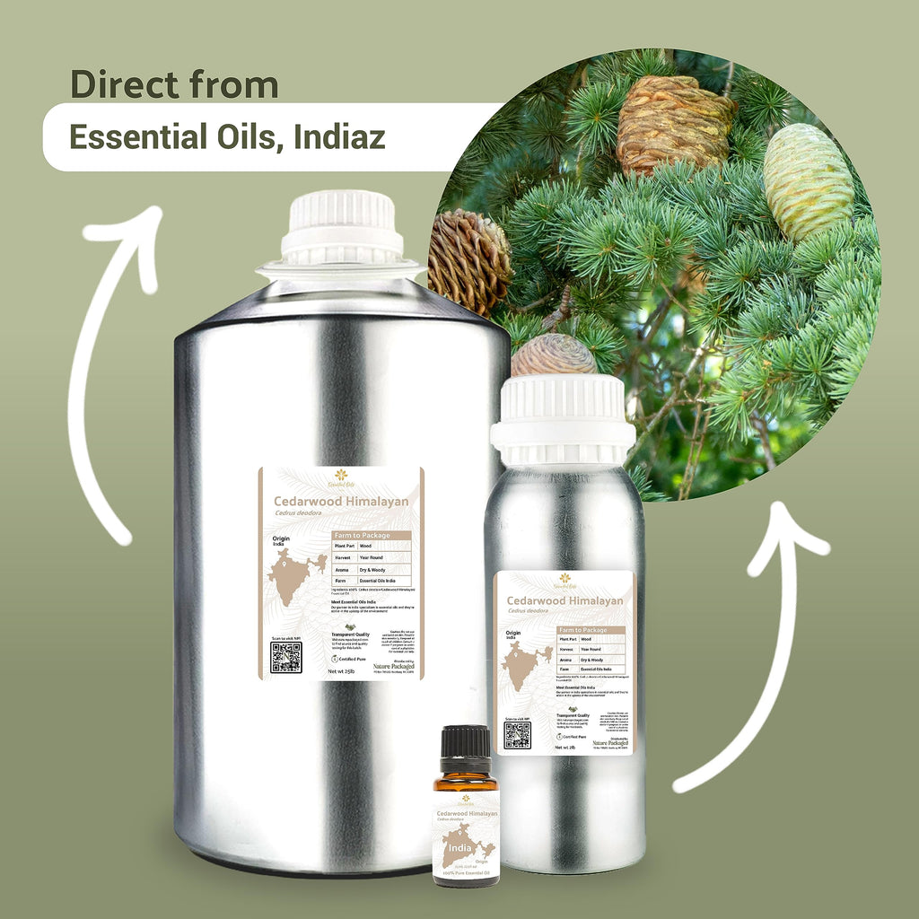 Nature Packaged Cedarwood Essential Oil (Himalayan) - Direct from Hindustan Mint & Agro in India - Essential Oil for Diffusers a