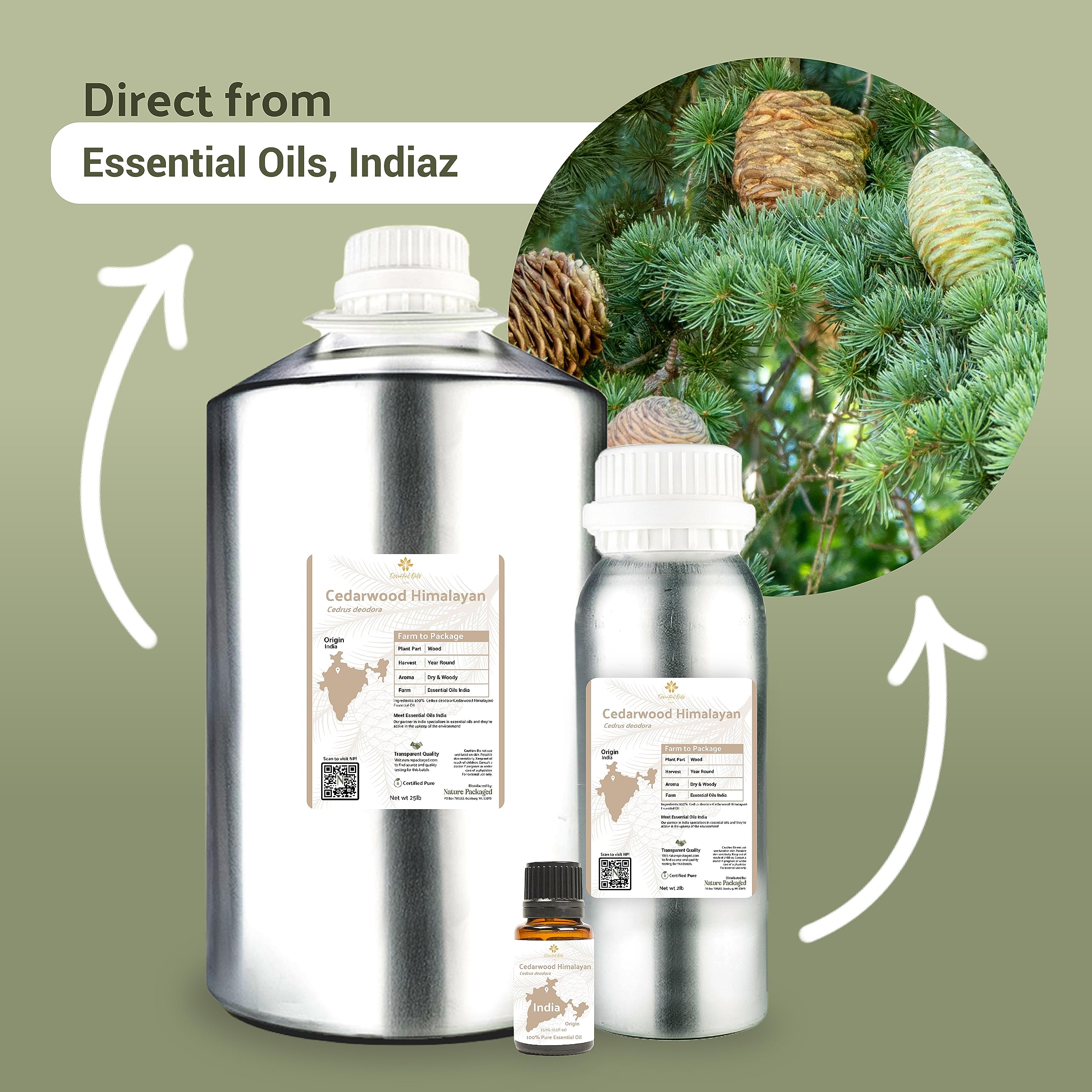 Nature Packaged Cedarwood Essential Oil (Himalayan) - Direct from Hindustan Mint & Agro in India - Essential Oil for Diffusers a