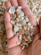 2 oz Lot Natural Semi Tumbled Moonstone Mix Gemstone Chips, Moonstone Mix Crushed Mini Crystals, Undrilled Crystal Chips (Moonst