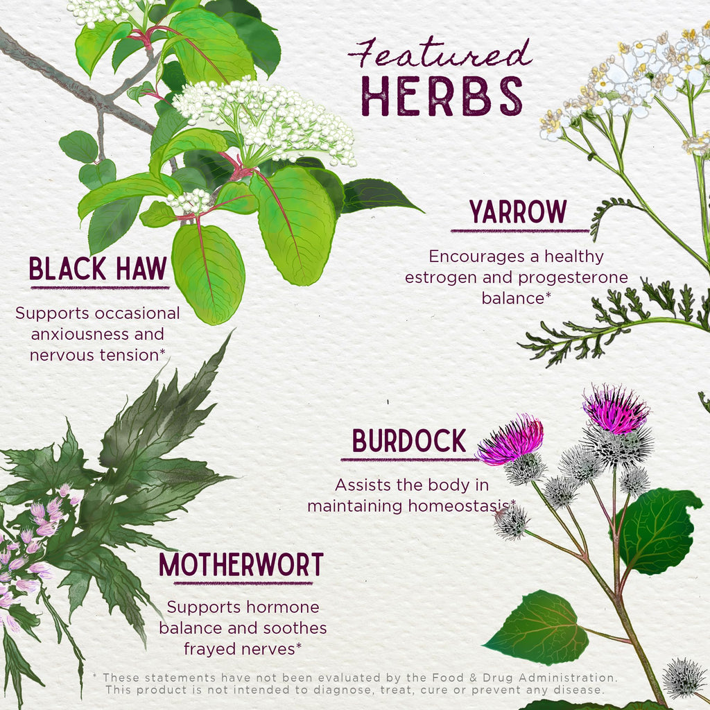 WishGarden Herbs ReBalance After Birth Hormonal - Plant-Based Herbal Supplement with Vitex Berry & Motherwort Supports Healthy P