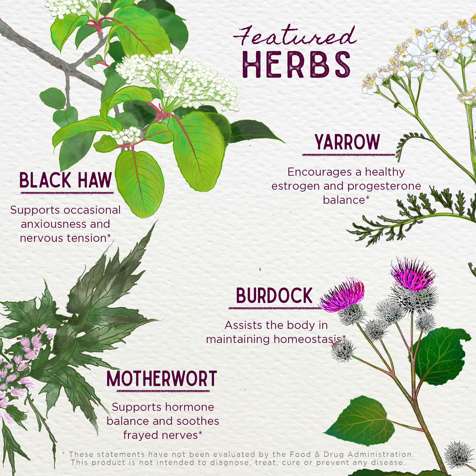 WishGarden Herbs ReBalance After Birth Hormonal - Plant-Based Herbal Supplement with Vitex Berry & Motherwort Supports Healthy P