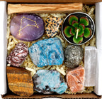 DANCING BEAR Capricorn Zodiac Healing Crystals Gift Set (14 Pc): 9 Stones, 18K Gold-plated Constellation Necklace, Meteorite, Su