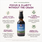 Genius Juice, Cognitive Aid