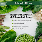 Buried Treasure Liquid Nutrients Chlorophyll Drops, 100 mg per Serving, 2 oz (30 Servings)