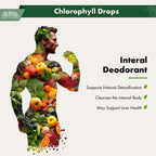 Buried Treasure Liquid Nutrients Chlorophyll Drops, 100 mg per Serving, 2 oz (30 Servings)