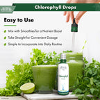 Buried Treasure Liquid Nutrients Chlorophyll Drops, 100 mg per Serving, 2 oz (30 Servings)