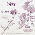 Serious Cough, Soothing & Quieting