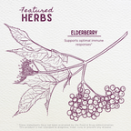 Elderberry Tincture