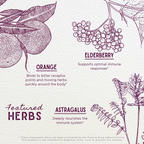 Elderberry Syrup, Everyday Immunity for Kids