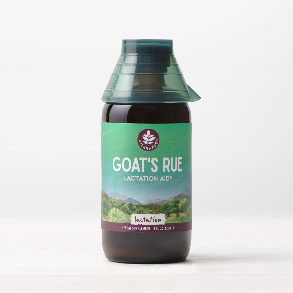 Goat's Rue Tincture, Lactation Aid