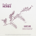 Goat's Rue Tincture, Lactation Aid