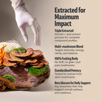Organic Mushroom Extract Powder Blend