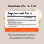 Organic Lion’s Mane Capsules