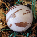 Skin Softening Soak Bomb – Coconut