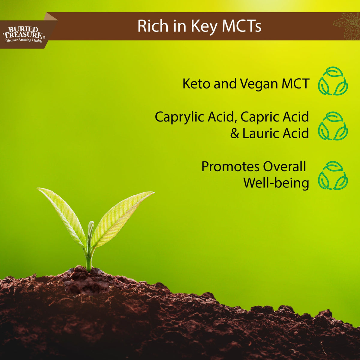 MCT Oil – Vegan Medium-Chain Triglycerides from Coconuts,96 Servings