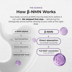 NMN Capsules 900mg