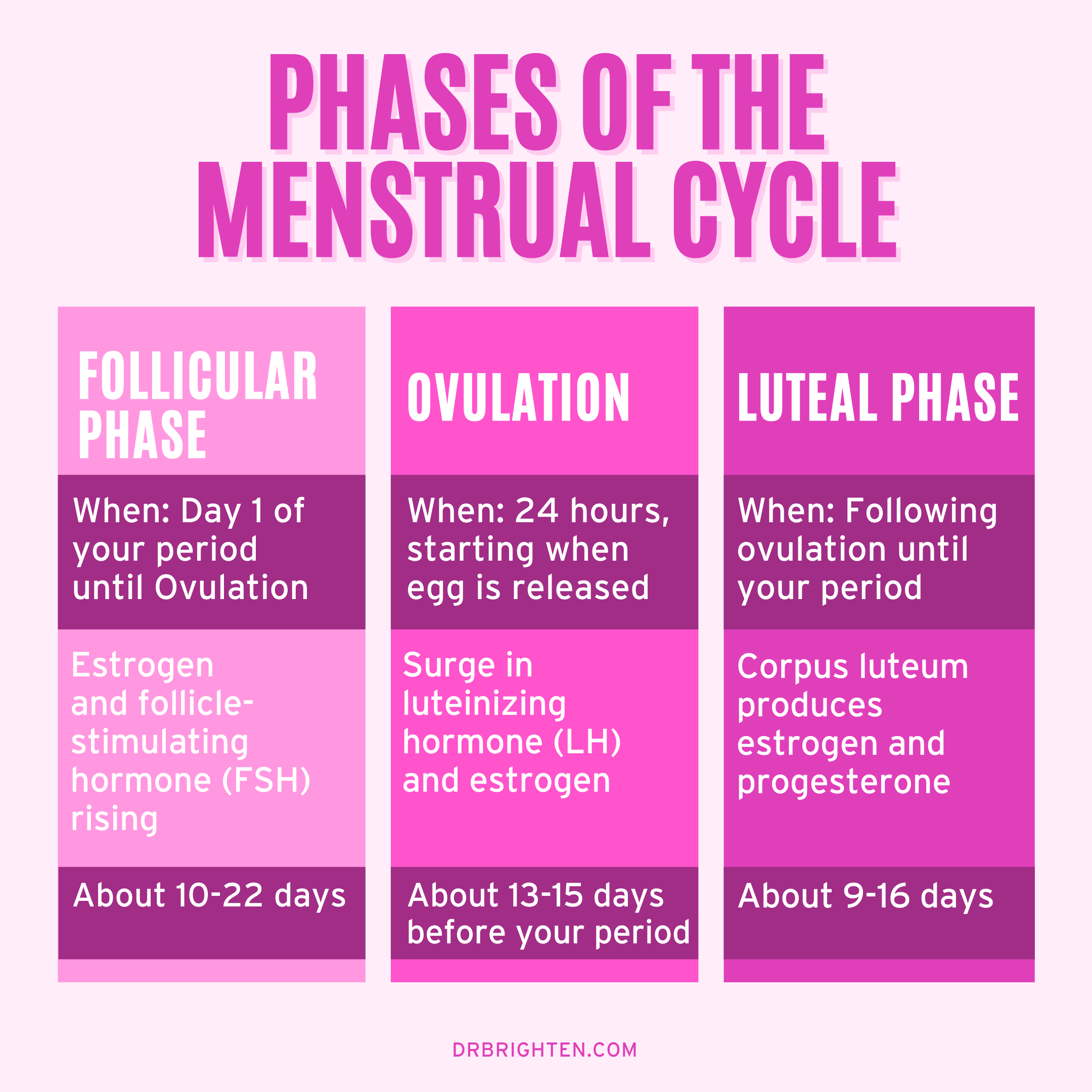 Certified Vegan, Organic, and Kosher Vulva Wash (4 Varieties) - Lower Price!