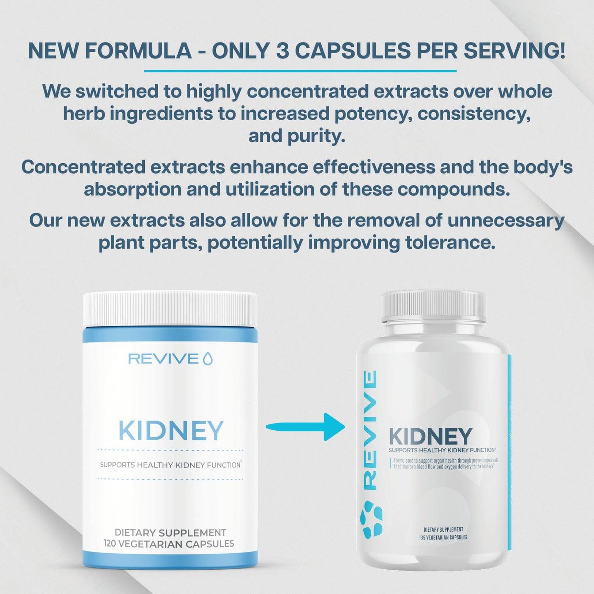 Revive Kidney Support Supplement